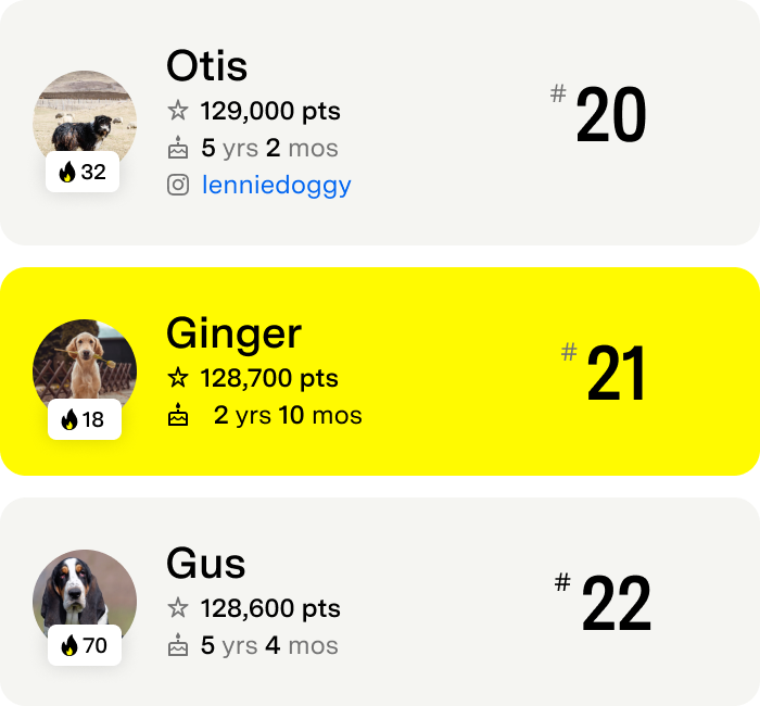 A leaderboard of dogs